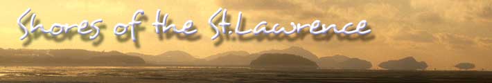 Shores Of the St.Lawrence