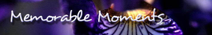Memorable Moments
