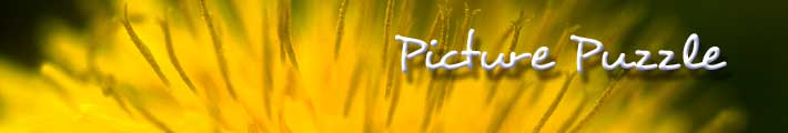 Picture Puzzle