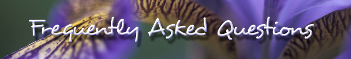 Frequently Asked Questions